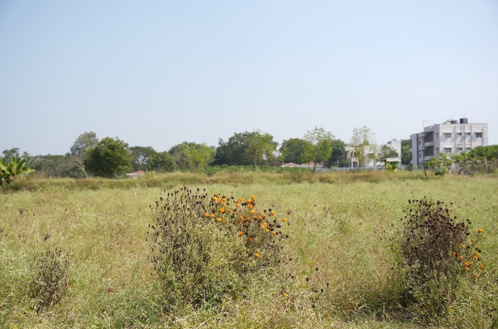 Vignana Jyothi Institute of Management Others(6)